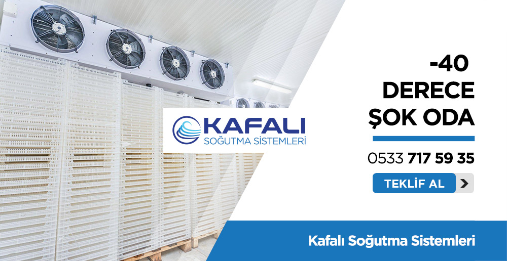 -40 ve -20 Derece Şok Oda - Kafalı Soğutma